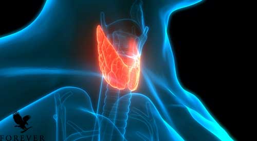 پرکاری تیروئید