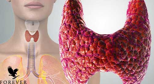 پرکاری تیروئید فوراور