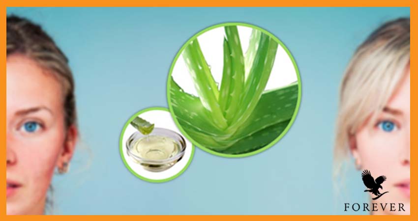 تقویت سیستم ایمنی بدن با آلوئه ورا