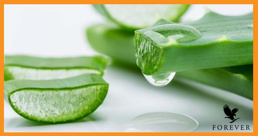 ماسک‌های خانگی آلوئه ورا برای درمان جای جوش