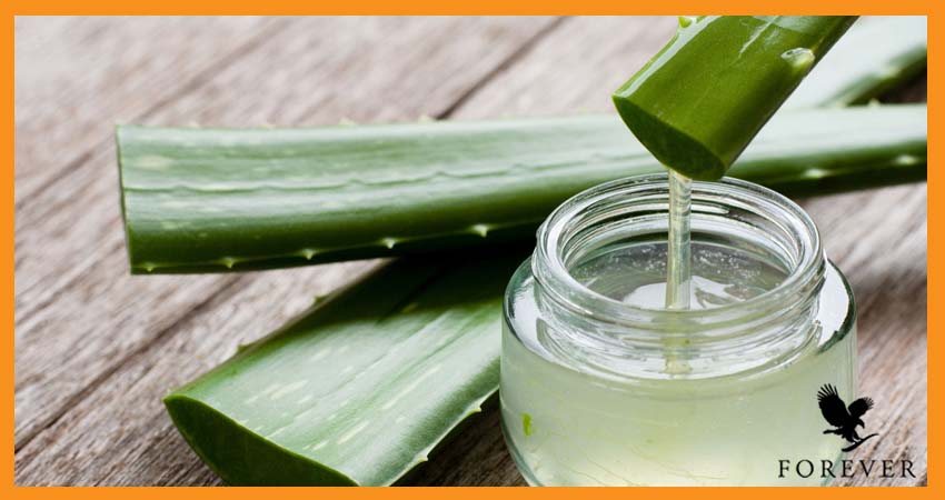 کاهش تیرگی زیر چشم‌ها با آلوئه ورا