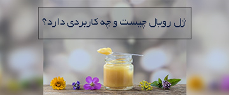 ژل رویال چیست و چه خواصی دارد؟